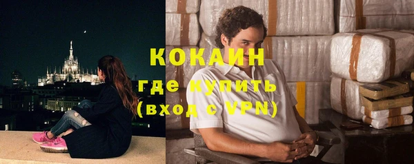 шишки Гусев