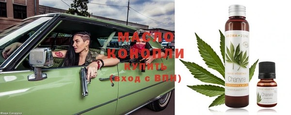 шишки Гусев