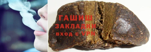 шишки Гусев