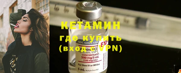 шишки Гусев