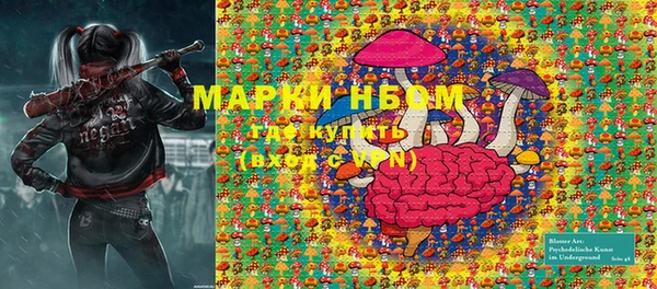 шишки Гусев