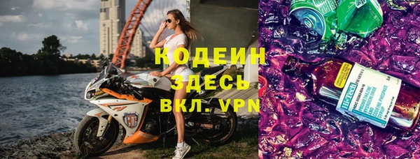 шишки Гусев
