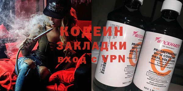 шишки Гусев