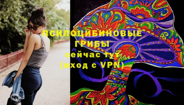 шишки Гусев