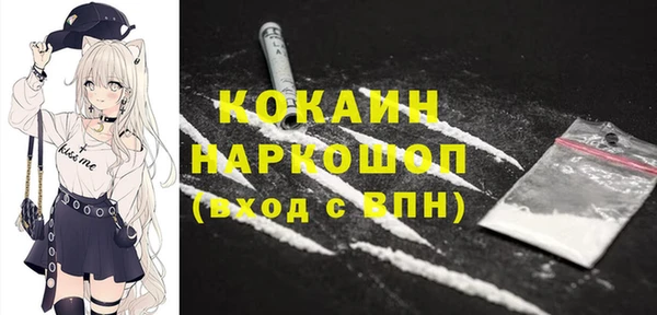 твердый Дмитриев
