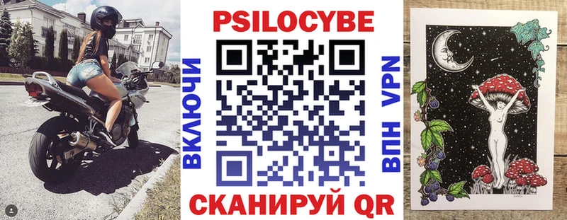Купить где  Кизляр  Галлюциногенные грибы MAGIC MUSHROOMS 